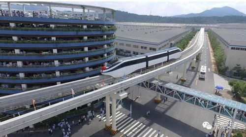 東莞引進多國科技治堵，無人駕駛與新型交通設施引領未來出行